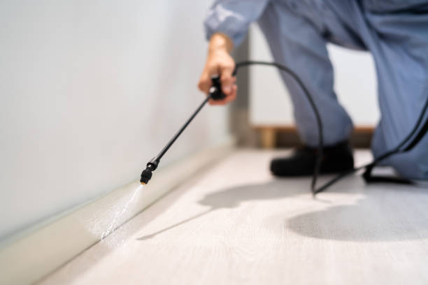 Certified termite inspector examining foundation in Jacksonwald